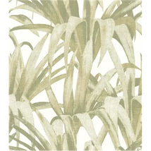 Tapéta