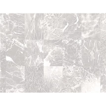 Panel
