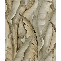 Tapéta
