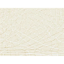Panel