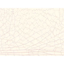 Panel