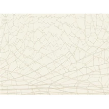 Panel