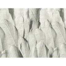 Panel