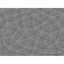 Panel