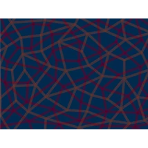 Panel