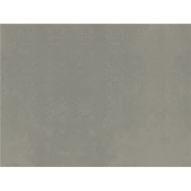 Panel