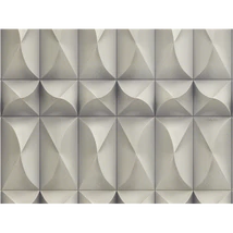 Panel