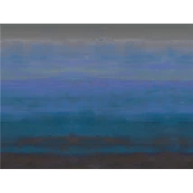Panel