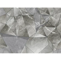 Panel