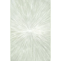 Panel