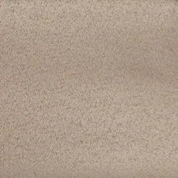 LORD DIMOUT-14  (41)