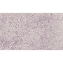 Panel - Suite