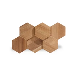 Rebel of Styles woodpanel 'UltraWood Hexagon' Teak FSC 100% 0,195 m²