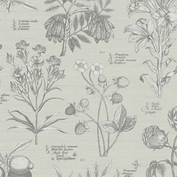 RHS Botanical Sketchbook krém tapéta