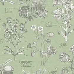 RHS Botanical Sketchbook zsályazöld tapéta