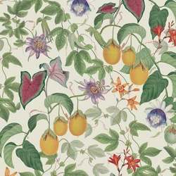 RHS Citrus & Vine krém tapéta