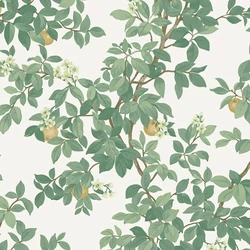 14240 - Imaginarium 3 kollekció papír tapéta