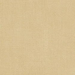 27563 Sintesi tapéta