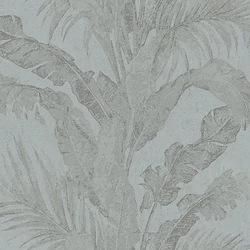 6606 Metamorphosis tapéta