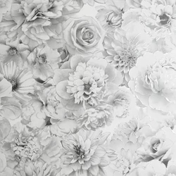 692803 - Signature tapéta