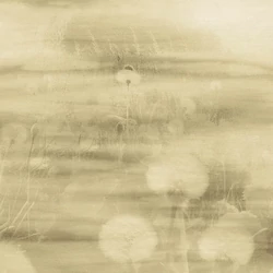 73899 - Tendenze Panel