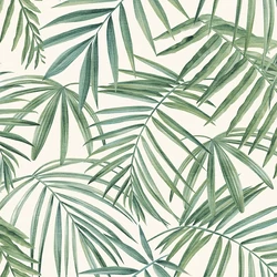 923909 - Signature tapéta