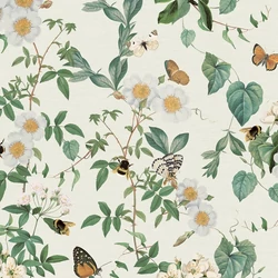 925502 - Signature tapéta