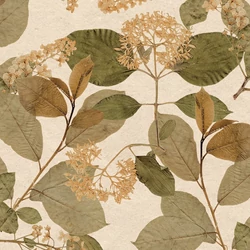 Herbarium vlies tapéta – természetközeli, növényi motívumok, HE27224 Herbarium vlies tapéta – természetközeli, növényi motívumok, HE27224