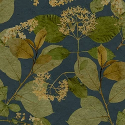 Herbarium vlies tapéta – természetközeli, növényi motívumok, HE27226