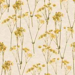 Herbarium vlies tapéta – természetközeli, növényi motívumok, HE27232