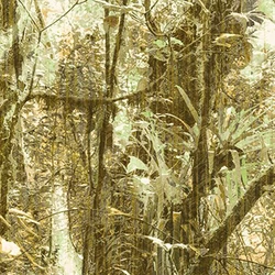 Panel