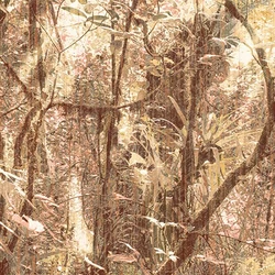 Panel
