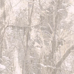 Panel