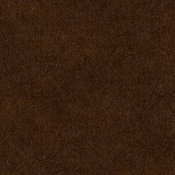 TA25025 – Plains Tahiti tapéta