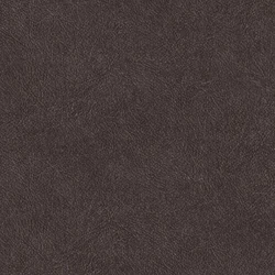 TA25028 – Plains Tahiti tapéta