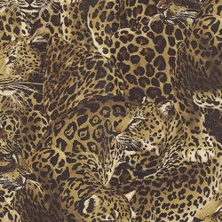 TCW007TCAHOUL022 Dolce&Gabbana Home collection vinyl tapéta