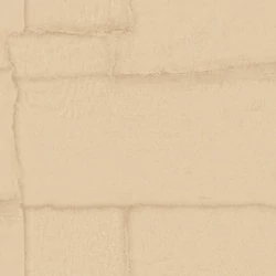 Z30304 Zambaiti Parati Trussardi 8 tapéta