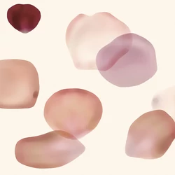 Z61011-1 Zambaiti Parati Project 2 tapéta