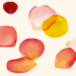 Z61011-2 Zambaiti Parati Project 2 tapéta