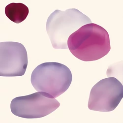 Z61011-3 Zambaiti Parati Project 2 tapéta