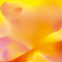 Z61012-2 Zambaiti Parati Project 2 tapéta