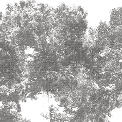Z61039-1 Zambaiti Parati Project 2 tapéta