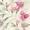 Iris1 (02.Powder.pink)