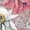 Margot (02.Blush)