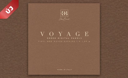 Voyage