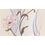 Tapéta Tapéta