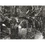 Kép 1/2 - Panel
