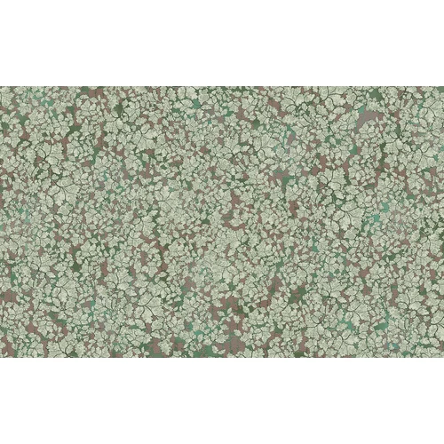 Panel - Suite