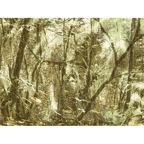 Panel
