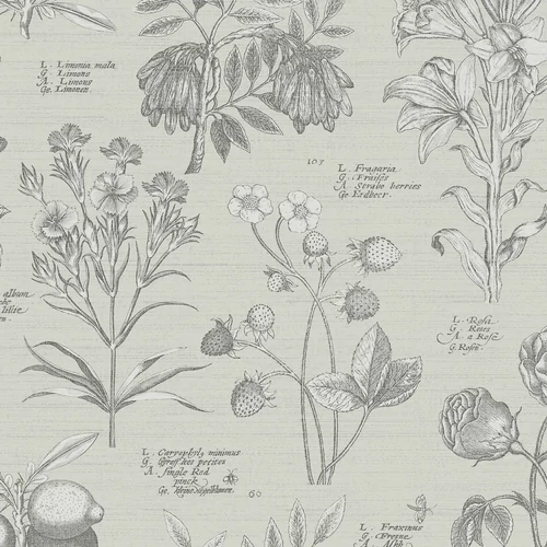 RHS Botanical Sketchbook krém tapéta